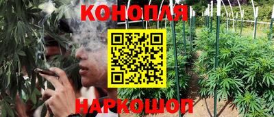 тгк Аргун