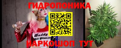 тгк Аргун