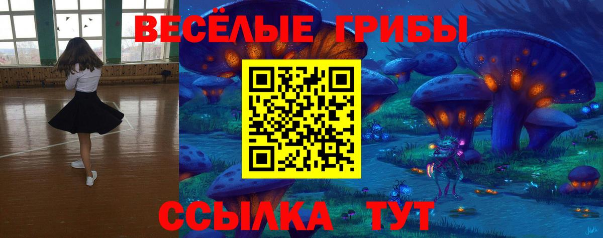 Вольск  Псилоцибиновые грибы Psilocybe  Вход с VPN 